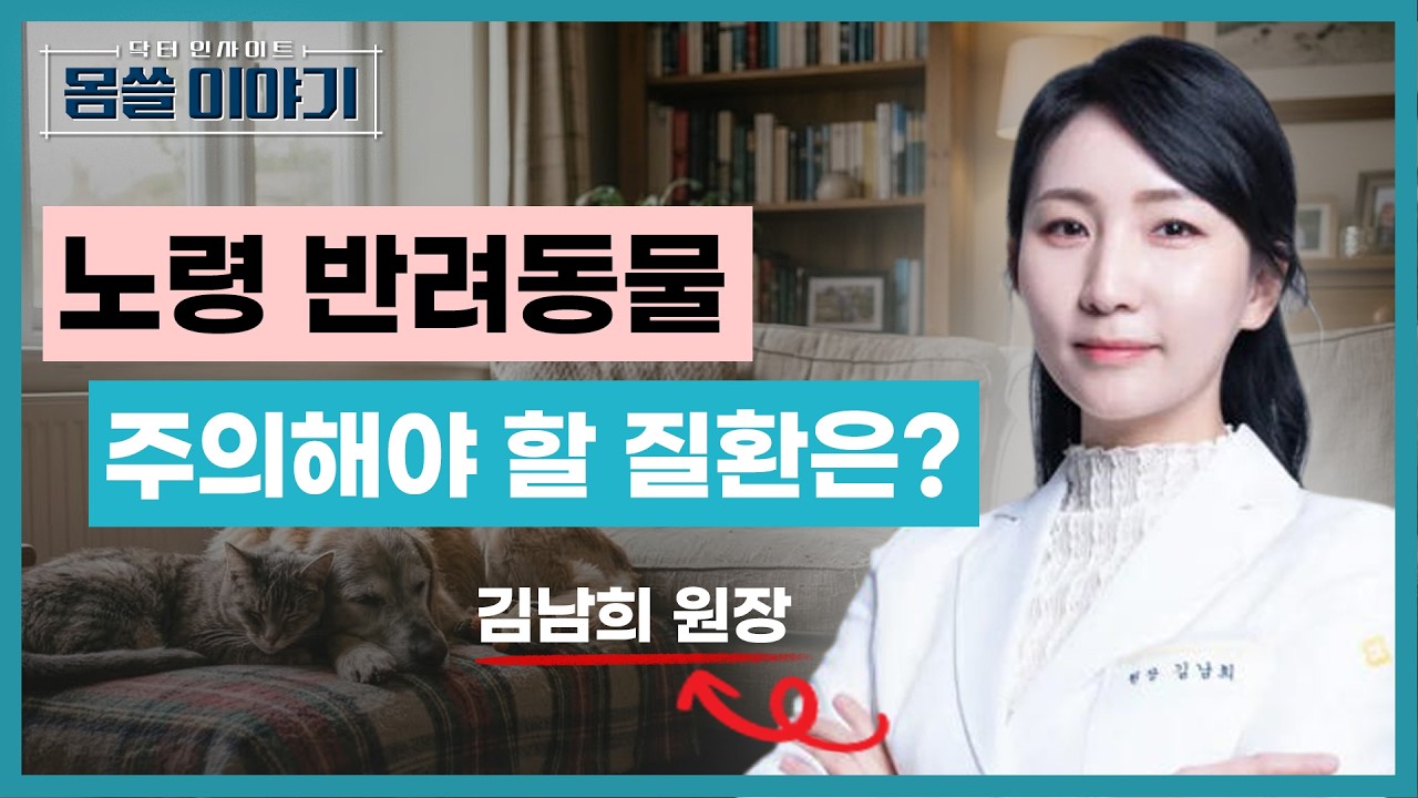노령 반려동물들의 주의할 부분…심장병과 내분비 질환 [몸쓸이야기 13회]