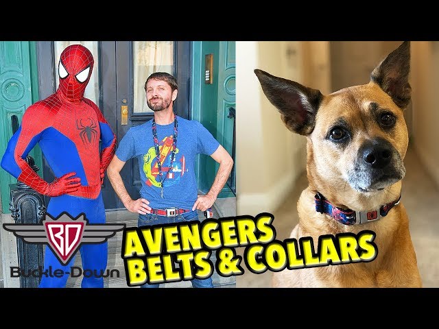 Vídeo relacionado con Buckle Down Marvel Vengadores de Marvel Vengadores superhéroes Closeup plástico Clip Collar