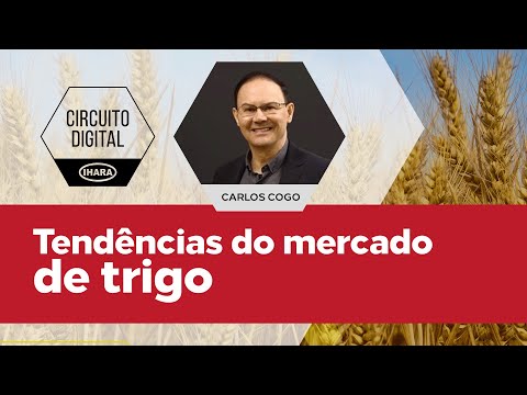 , title : 'Live: Tendências no mercado de Trigo'