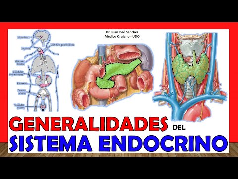 🥇 ENDOCRINE SYSTEM in 12 Minutes!!. Easy and simple!