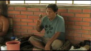 THE SHAMAN & AYAHUASCA: Journeys to Sacred Realms