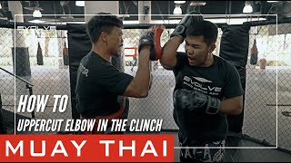 Dirty Boxing Shadow — vidéo 1