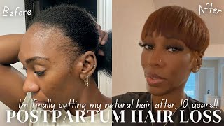 POSTPARTUM HAIR LOSS MY HAIR STOP GROWING | Embracing Change