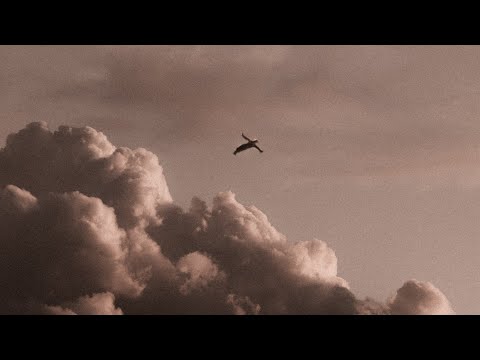 let's escape from this disappointing reality