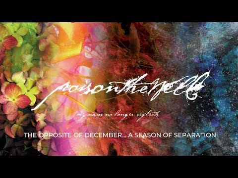 POISON THE WELL - MY MIRROR NO LONGER REFLECTS