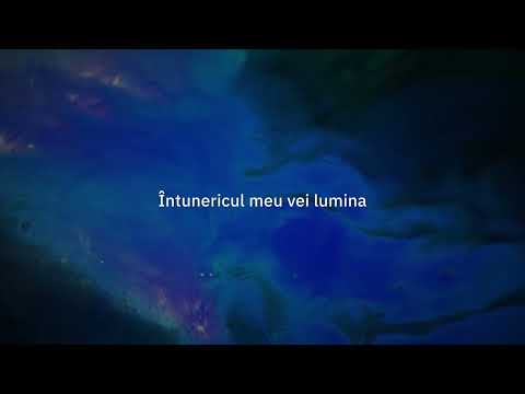PunctRO - Nu voi fi singur (OFFICIAL LYRIC VIDEO) ft. Florina Demian & Ana Pîslaru, Florin Demian