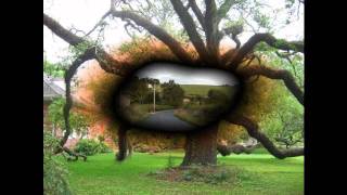 DAVE KENT SINGING THE GREEN GREEN GRASS OF HOME