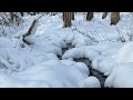 Icicle Fingerstyle Guitar Original DADGAD Tuning
