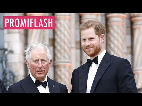 König Charles war nach Harrys Geburtstagsanruf enttäuscht