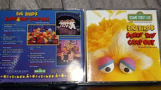 Zig Zag Dance (Live Show Version)