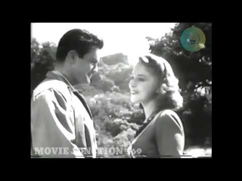 "Daughter of the Jungle (1982) - Action Adventure" movie junction 369