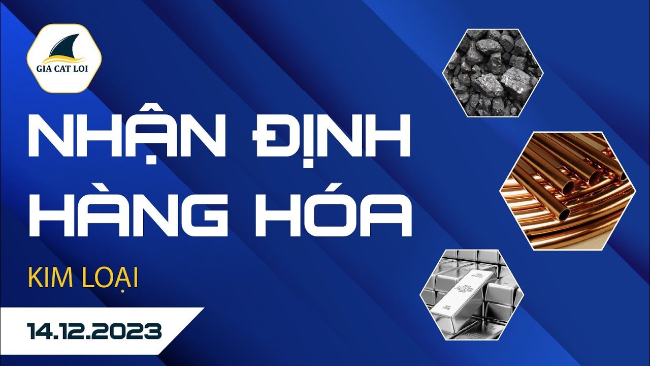 Nhận Định Hàng Hoá Kim Loại Ngày 14/12/2023