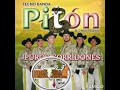 El verso de la burra - BANDA PITON