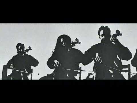 Triplex vs Apocalyptica - Бой с тенью (slowed reverb version)