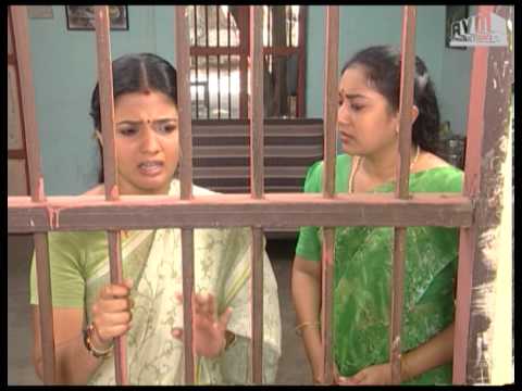 Episode 813: Sorgam Tamil TV Serial - AVM Productions