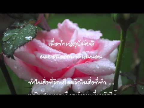 คลิกเพื่อดูคลิปวิดีโอ