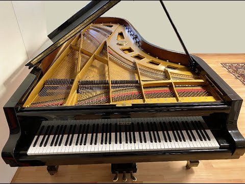 Piano Petrof 284 Mistral Thierry