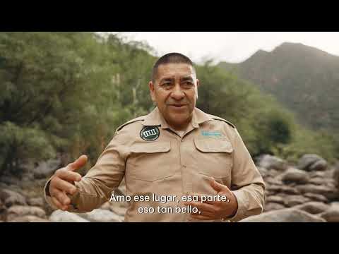 Parque Natural Provincial y Reserva Forestal Natural Chancaní