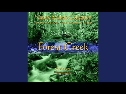 Nature Sounds Collection: Birds & Streams, Vol. 1 (Forest Creek)