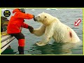 200 Animals That Asked People for Help & Kindness Caught On Camera ! #76 DEFAULT Thumbnail