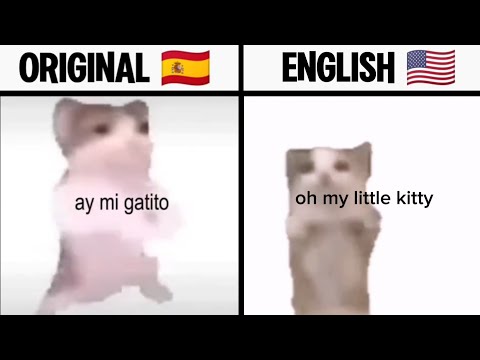 Ay Mi Gatito Miau Miau Translation
