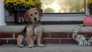 Extreme Shelter Makeover Campaign