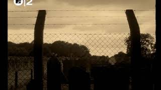 Tom Waits ‎– What&#39;s He Building? (1999 Music video)