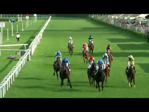 BA 9.4. Dostihy 6 - Memoriál Josefa Břečku