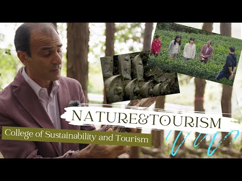 What Should You Study in Japan? Tourism Studies