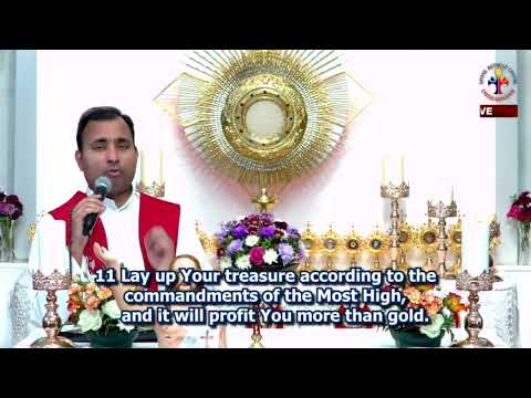 Dewfall 563 - shortcut to wealth