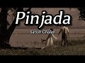 Satish Ghalan - Pinjada (Lyrics)