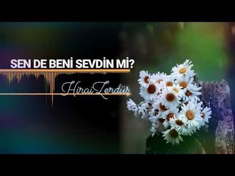 HiraiZerdüş   Sen de beni sevdin mi