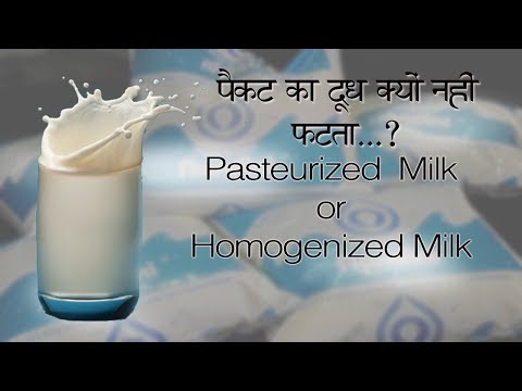 What is Pasteurized or Homogenized Milk
