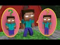 Mr.Meat attack 5 Baby Herobrine Brothers - Monster School Minecraft Animation