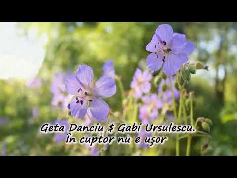 Geta Danciu *În cuptor nu e ușor*