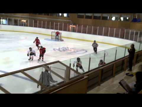 Sweden Hockey Trophy transfer