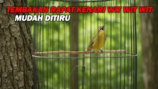 Download lagu PANCINGAN PLECI TEMBAKAN RAPAT KENARI WIT WIT WIT, PALING MUDAH DITIRU mp3