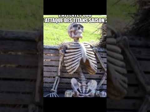 L'attente de l'attaque des titans saison 2 sur Netflix #snk #meme