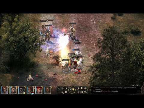 Pillars of Eternity - Task - Bounty Galen Dalgard