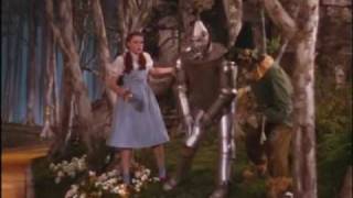 If I Only Had A Heart