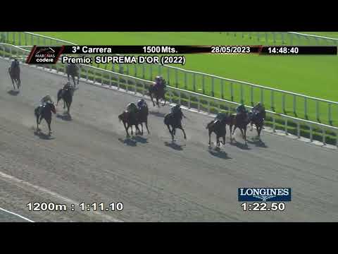 230528 c03 - MARCHADORA RYE (ARG) - HIPODROMO DE MAROÑAS