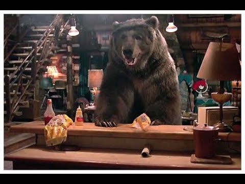 Big Bear Chase Me Crossover