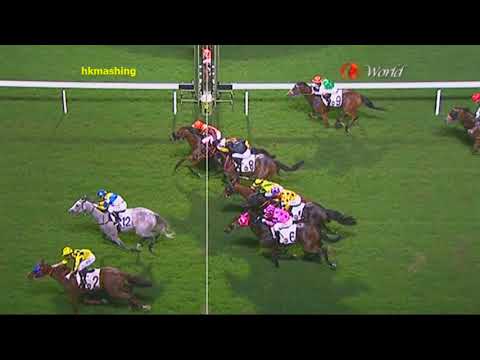 2014/15 (210) - Dual Happy (常開心) - 郭能