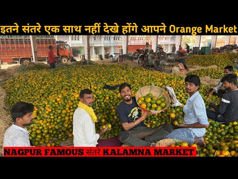 Santra Market Nagpur || एशिया का दूसरा सबसे बड़ा मार्केट 😱 || Santra Market Nagpur Santra Market