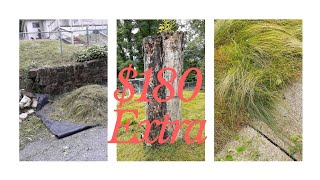 Tall Grass Gardening Tips