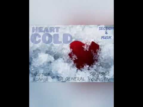 Section4Musik-Heart Cold (prod. by SoUnique)