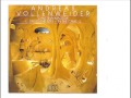Andreas Vollenweider - Angoh (Live)
