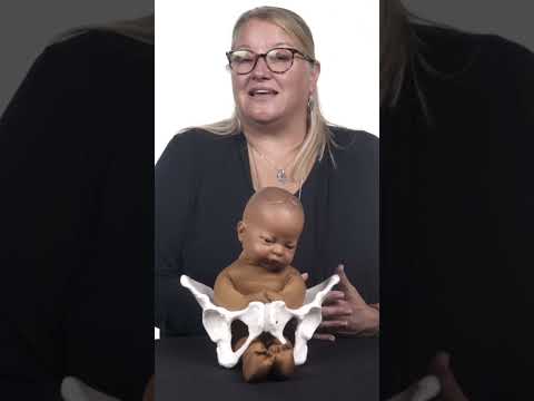 Pregnancy Myths - Sex During Pregnancy