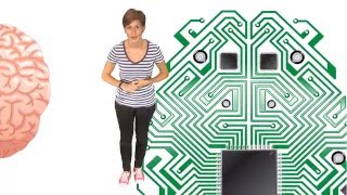 Le fonctionnement du cerveau.