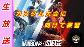 【おカスタムですわあぁ】ろまんのＲ６Ｓ【R6S】
